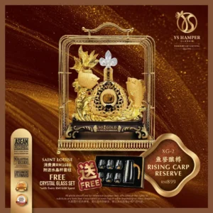 YS XG2